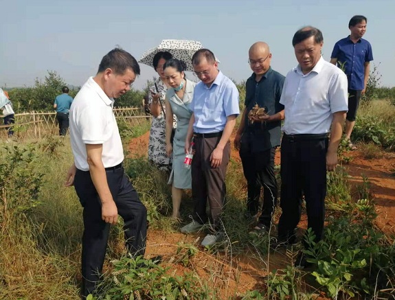 调研1网.jpg
