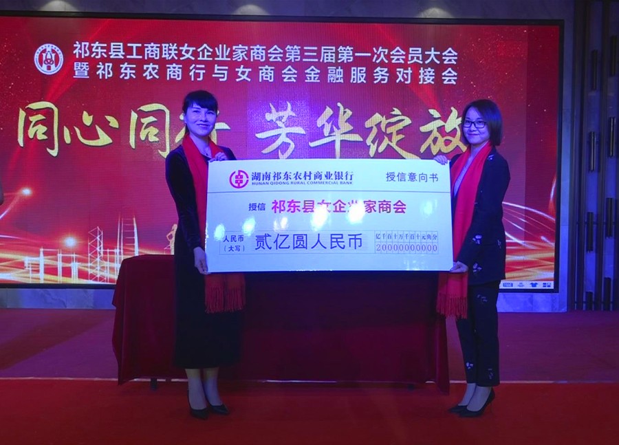 女企业家商会换届2.jpg
