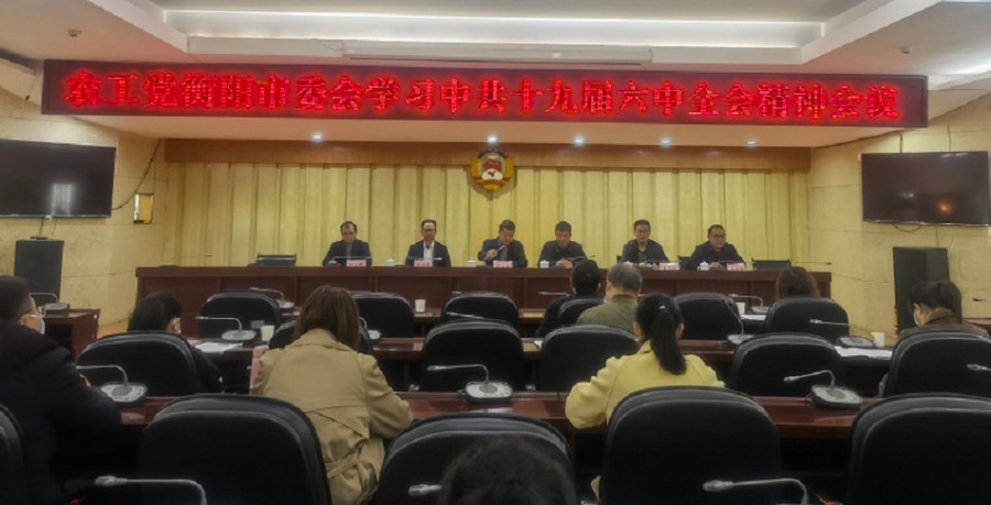 专题学习中共十九届六中全会精神·网.jpg